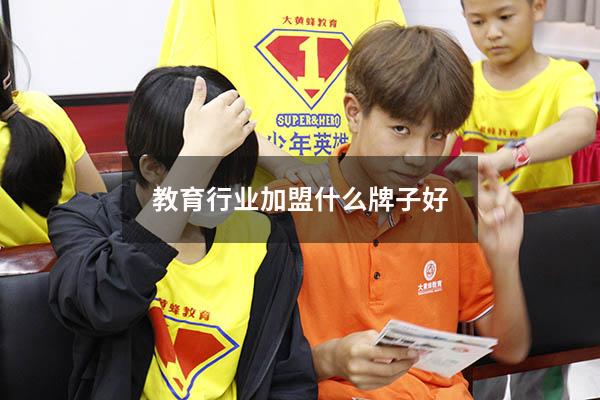 教育行业加盟什么牌子好（教育加盟店排行榜）
