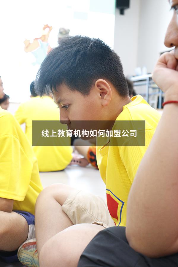 线上教育机构如何加盟公司（k12线上教育平台有哪些）