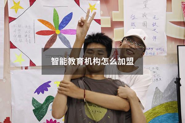 智能教育机构怎么加盟（教育机构一般是干嘛的）